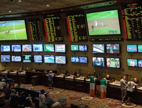 sports betting in florida news